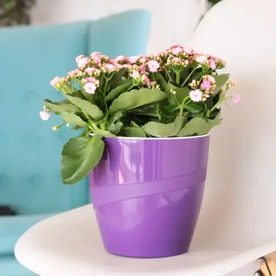 Кашпо для цветов пластиковое 2,8л d-17см «Грация» со вставкой фисташковый