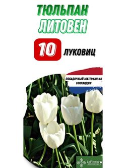 Тюльпан Луковица, Литоувен, 10шт