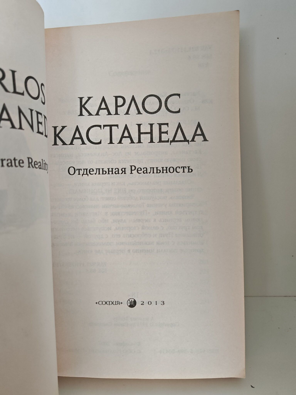Отдельная реальность