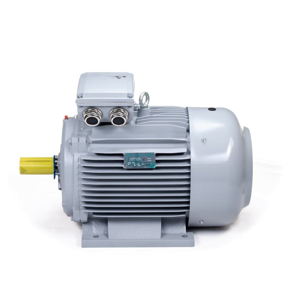 Электродвигатель ESQ PR 280 S6-SDN-Б1-S12-IE3 45/1000 IMB3