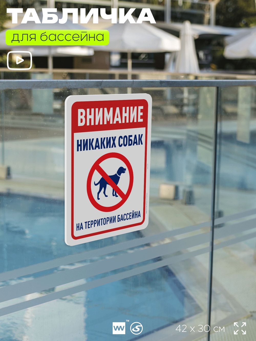 Табличка для бассейна "Внимание, никаких собак", на пляж, для общественной и частной зоны отдыха, информационная, 40х30 см, Silver Plane x Айдентика Технолоджи