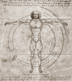 Коллекция ALLUSION