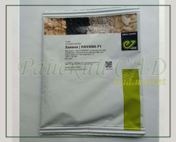 Тыква Хавана F1 (Enza Zaden / Энза Заден) 5 шт.