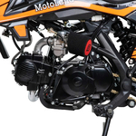 Питбайк MOTOLAND GF150 E