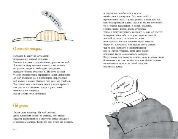 Кот Леон. Воззрения Его Пушейшества