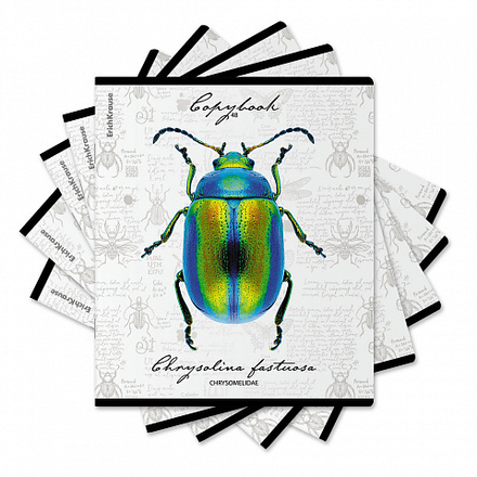 Тетрадь А5 48л кл. Erich Krause "Жуки,", УФ-лак выборочный+тиснение фольгой+ конгр.