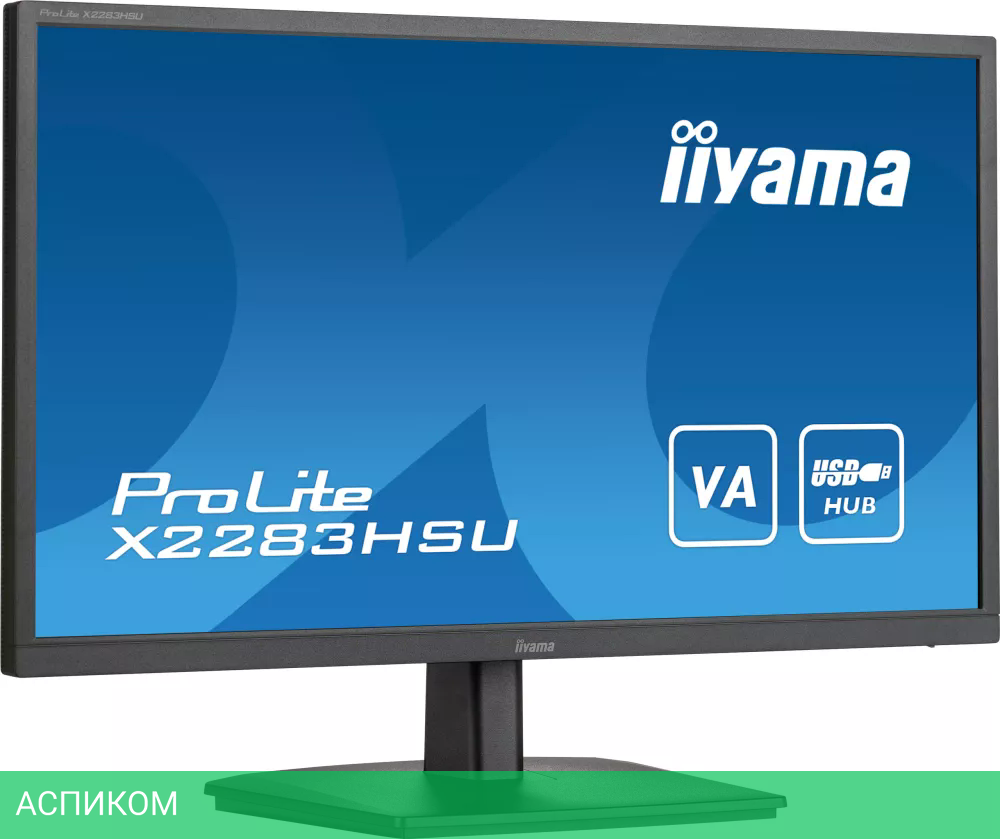 Монитор Iiyama ProLite X2283HSU-B1