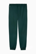 Штаны Puma Manchester City 25/26 KING Anthem - зеленый