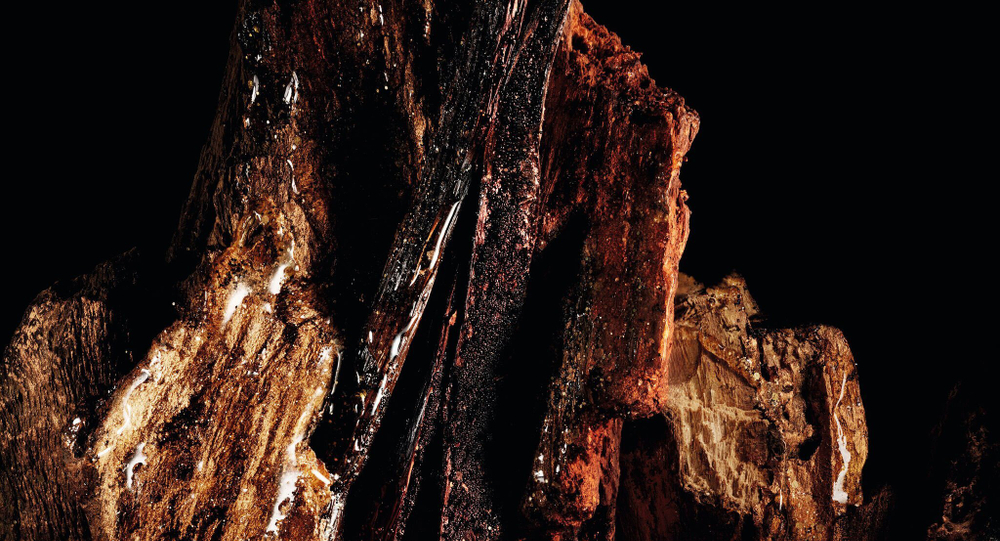 BOIS TALISMAN от DIOR