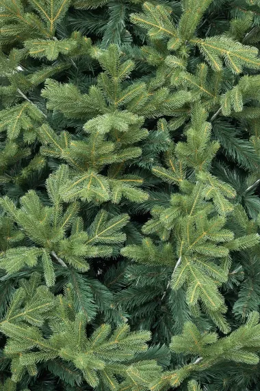 Искусственная ель Дворцовая 4 м., Литая хвоя + ПВХ, ЕлкиТорг (148400)