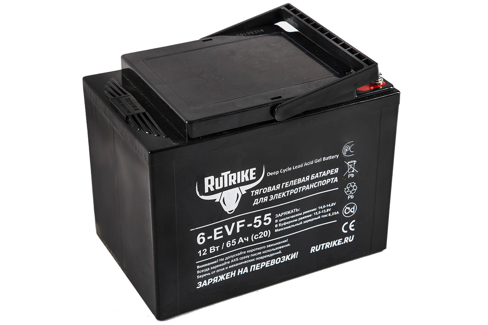 Тяговый аккумулятор RuTrike 6-EVF-55 (12V55A/H C3)