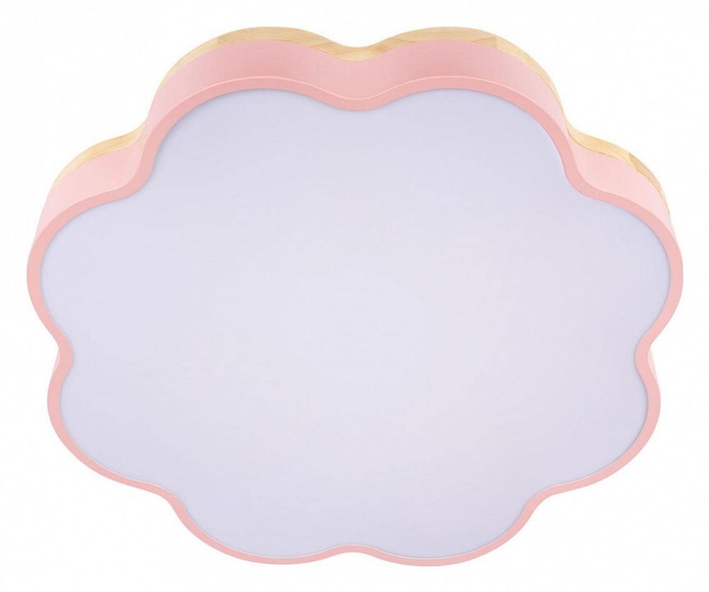 Накладной светильник Loft it Axel 10225/36 Pink