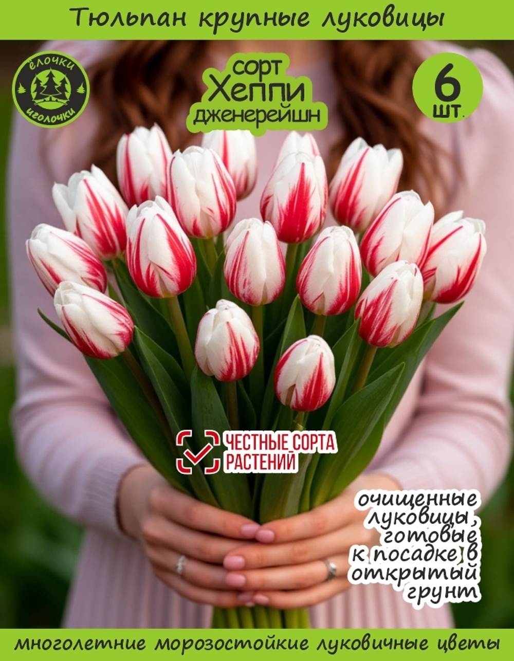 Тюльпан Луковица, Хэппи Дженерейшн, 6 шт