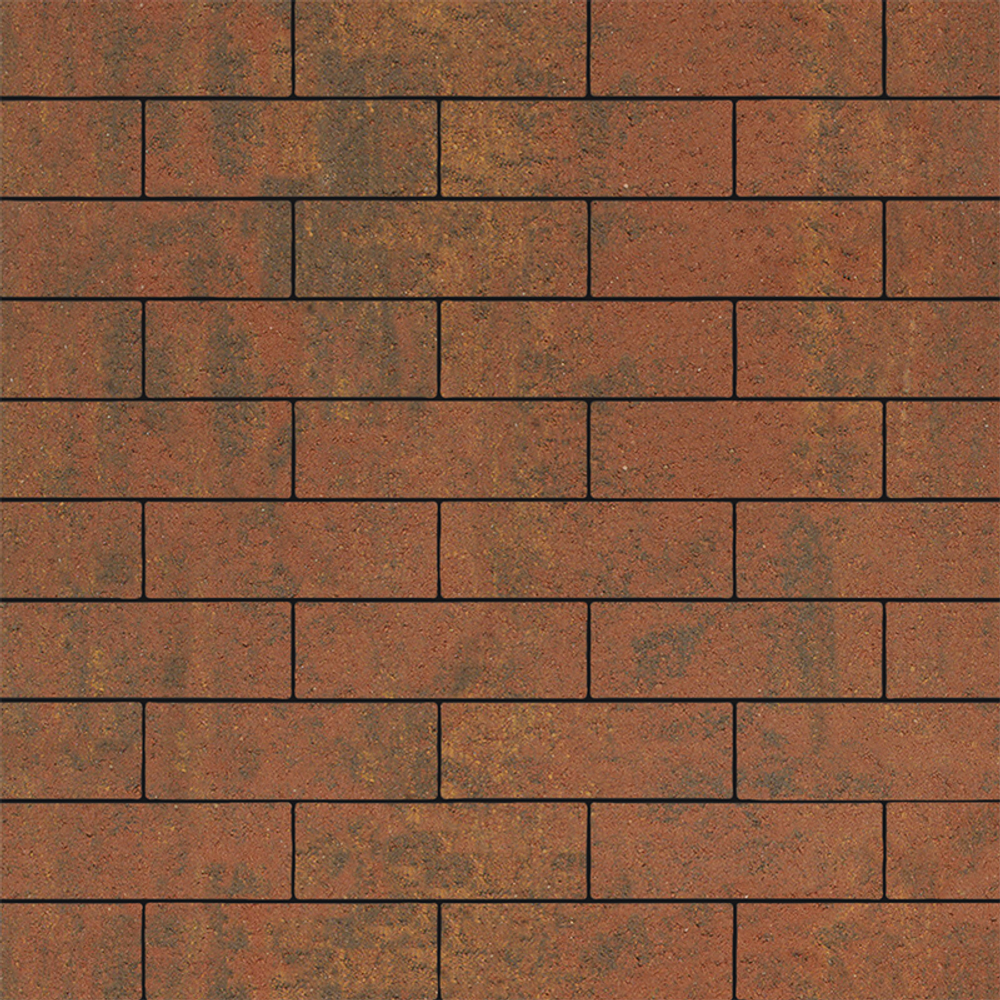 Тротуарная плитка ПРЯМОУГОЛЬНИК 300х100 мм - Листопад гладкий Арабская ночь