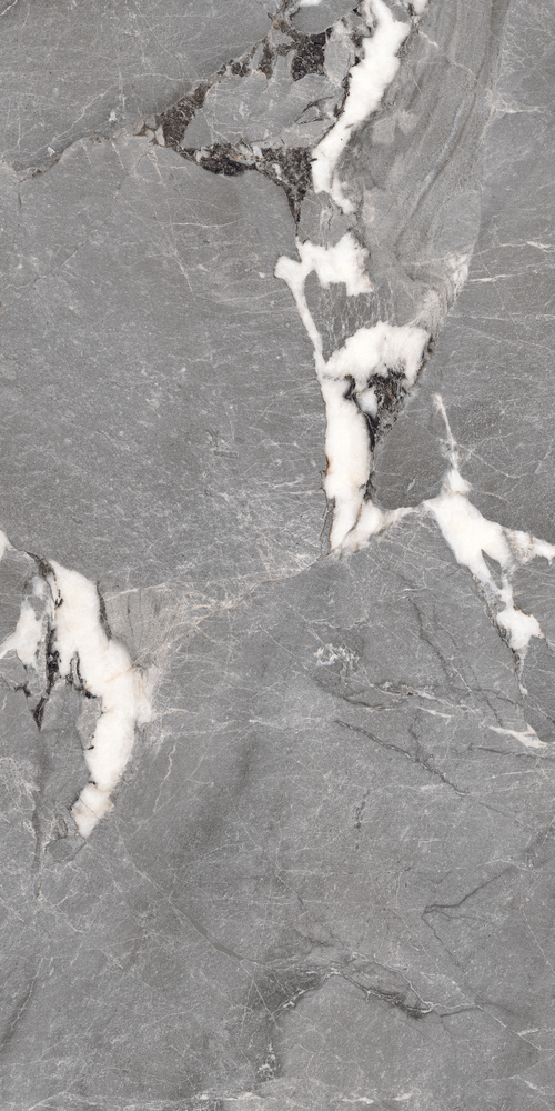 Керамогранит Pegasus серый 60x120 PGT1206010201SGR