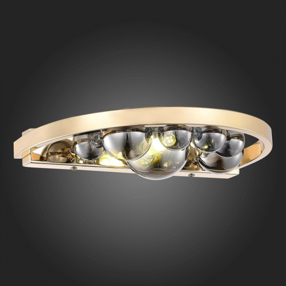 Настенный светильник ST Luce OLMI SL1510.201.01