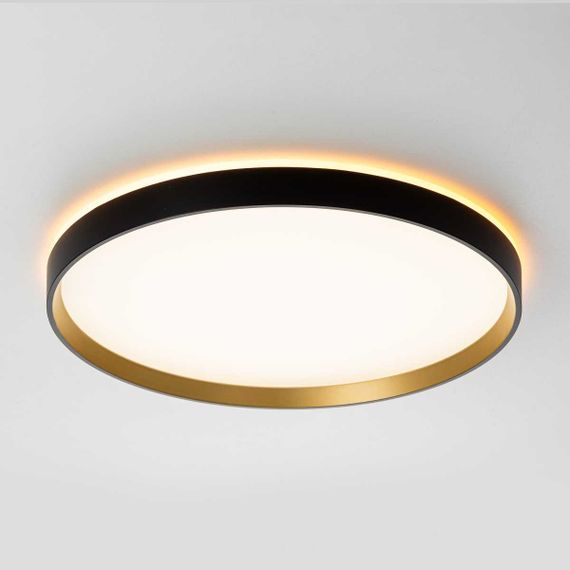 Потолочный светильник Citilux ETALON CL750401R