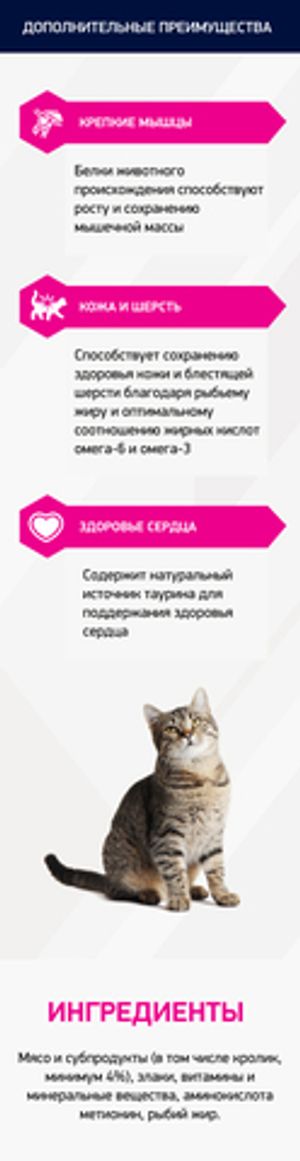 Пауч для взрослых кошек, Eukanuba Adult cat salmon, с лососем в соусе