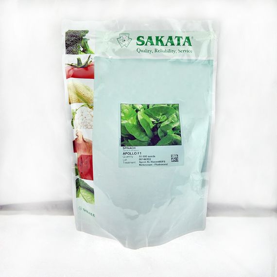 АПОЛЛО F1 семена шпината (Sakata | Alexagro)