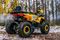 Квадроцикл WELS Thunder Trail 125 PRO