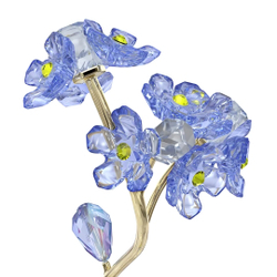 FLORERE:FORGET-ME-NOT
