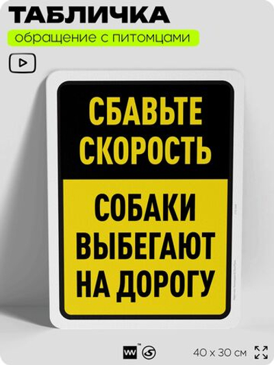 Табличка "Сбавьте скорость, собаки выбегают на дорогу" на дверь и забор, для двора, дома, подъезда, 40х30 см, Silver Plane x Айдентика Технолоджи