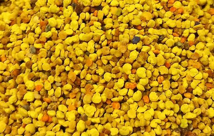 Пыльца цветочная 0,100гр.