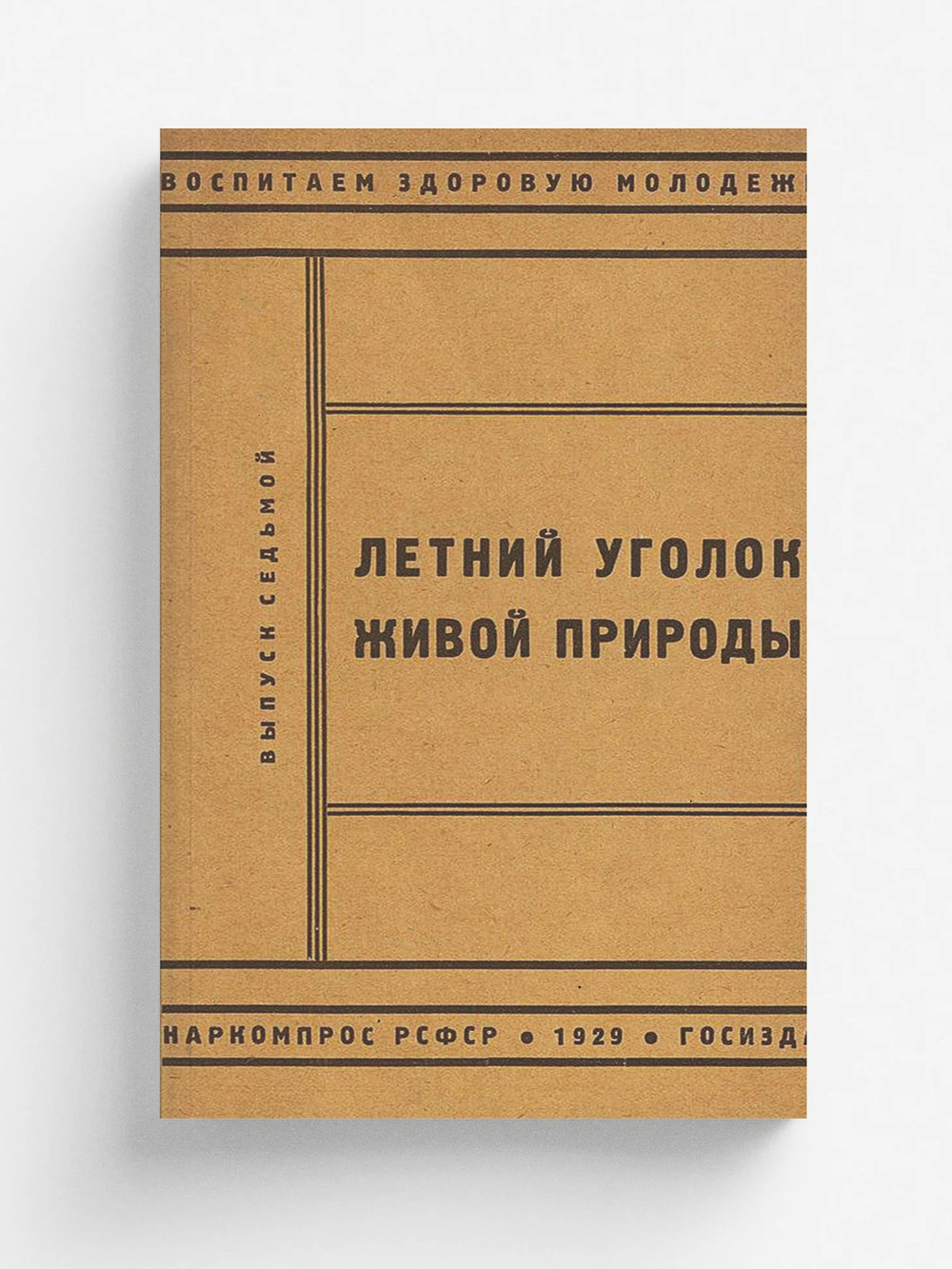 Летний уголок живой природы | Нет автора