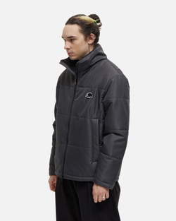 Куртка Anteater Downlight Grey