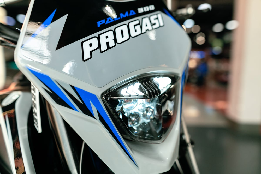 Мотоцикл кроссовый эндуро PROGASI Palma 300