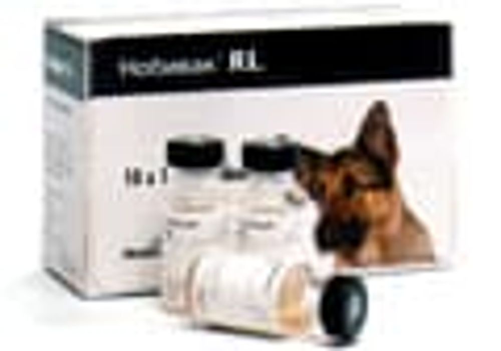 Intervet Нобивак RL вакцина для собак против бешенства и лептоспироза 1 доза