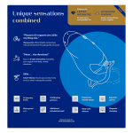 Синий вибратор 20,3см с вакуумным стимулятором Womanizer Duo 2 Blueberry WZ142SG5