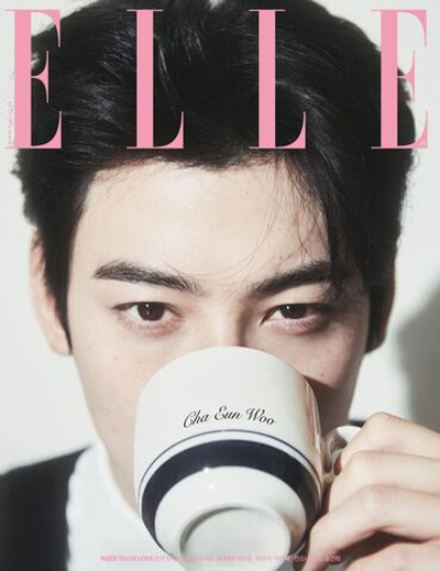 публикация ELLE - 2025.02 CHA EUN-WOO B Type