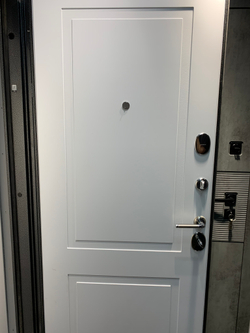Входная металлическая дверь Бункер BN-09  Дуб майдера горизонт с черной патиной/  ФЛ- 609 белый софт (белый матовый, без текстуры)