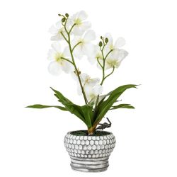 GAEM Цветочная композиция "Орхидея", L25 W23 H41 см