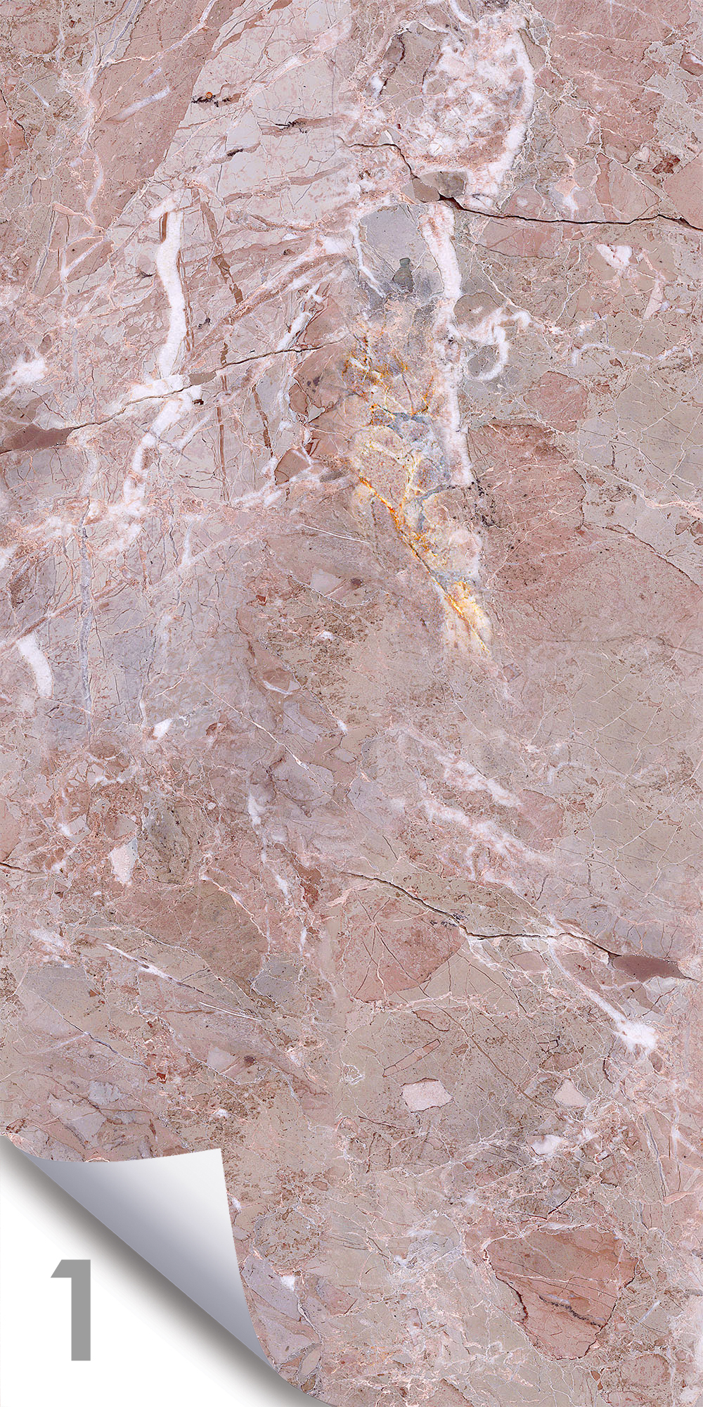 Ветка Сакуры