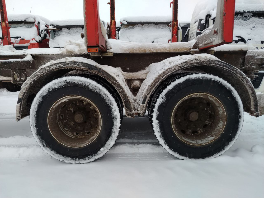 Дизель-С 6003* Прицеп сортиментовоз 600329