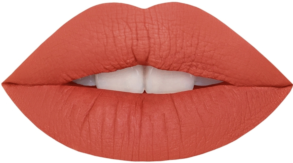 Not So Funny Any Matte Liquid Lipstick - Жидкая помада с матовым финишем, 3,8 ml