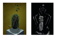 International Floral Art 2016/2017