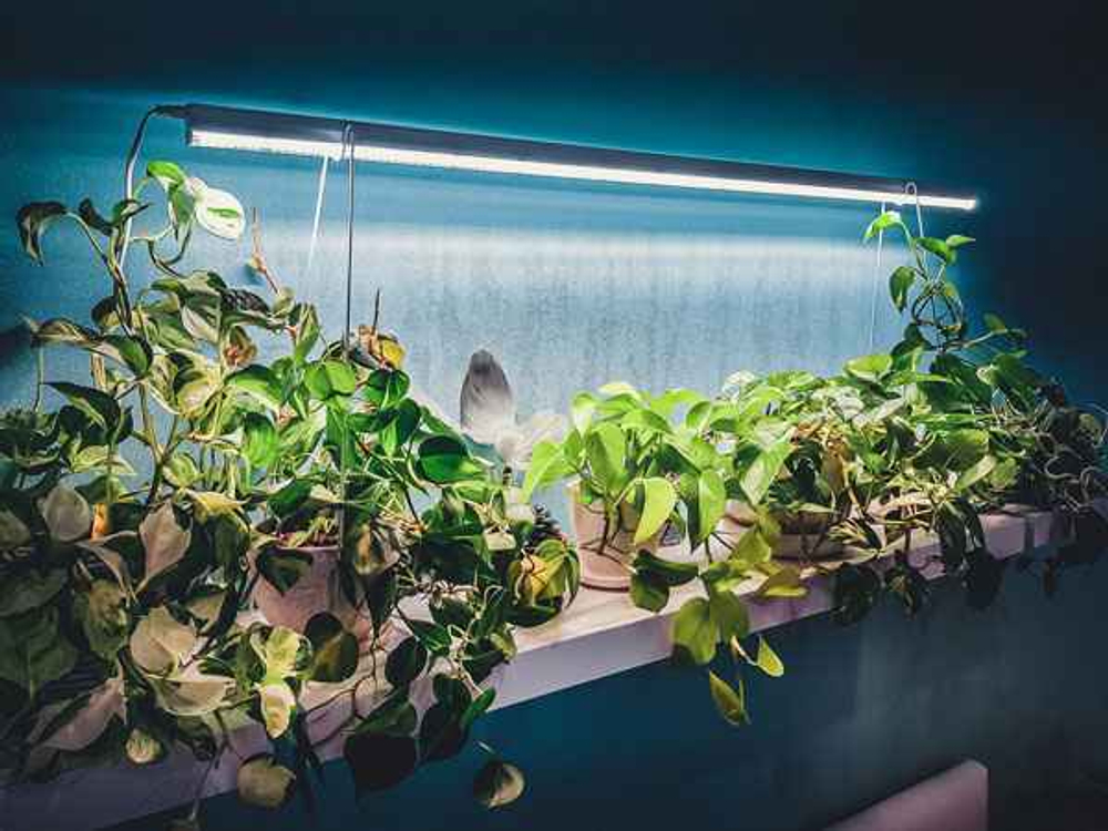 Фитолампа для растений линейная VA-2 90 см 15Вт