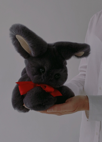 Символ года