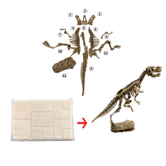 Dinosaur Fossil Excavation Kit (Tyrannosaurus) ST70014