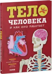 Тело человека и как оно работает