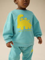 Толстовка и джоггеры в комплекте для мальчика Next E99-880, Голубой