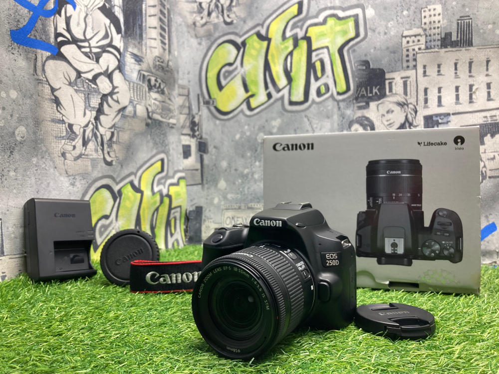 Canon 250D kit 18-55mm IS STM 14000 кадров