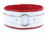 Бело-красный кожаный ошейник (Цвет: белый с красным)