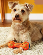 Игрушка для собак с подсветкой Nerf Dog