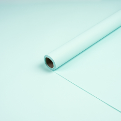 Пленка ФЛОРАНС 58*10м СВЕТЛАЯ №1