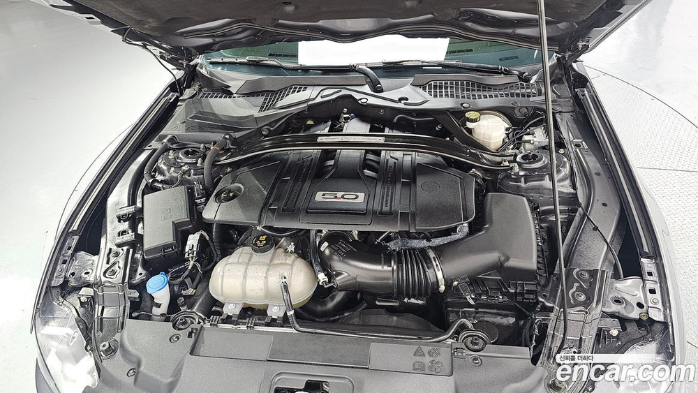 Ford Mustang GT Convertible (03.2021)