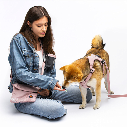 Сумка для прогулки с питомцем United Pets Citylife 23 x 16 см, пыльная роза